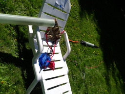 Recovery Testing