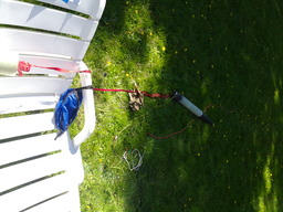 Recovery Testing
